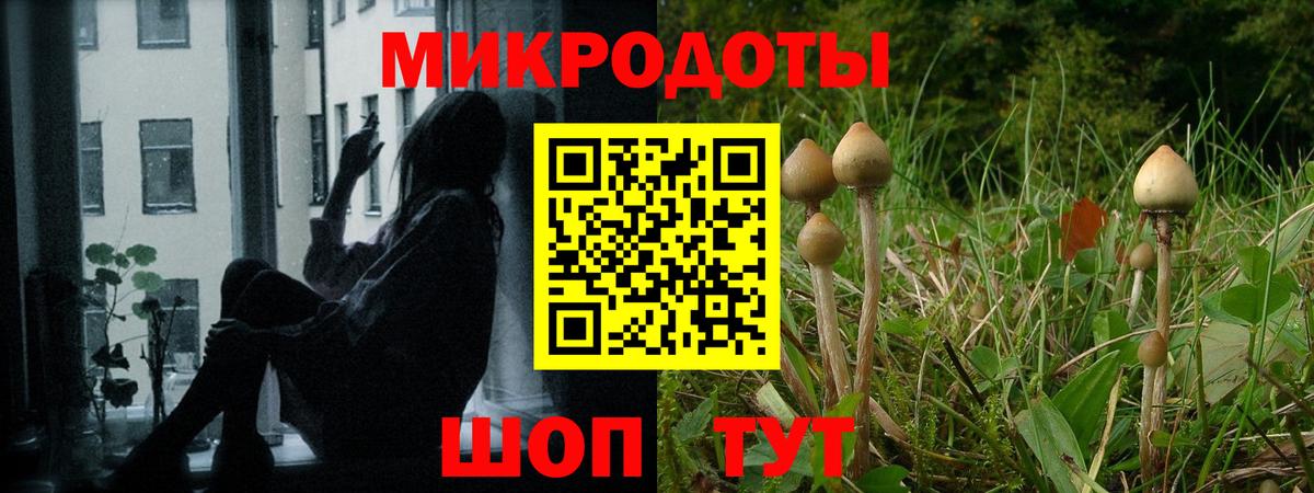 Галлюциногенные грибы Psilocybine cubensis  Псилоцибиновые грибы Psilocybe  Изобильный  дарнет шоп  Вход с VPN 