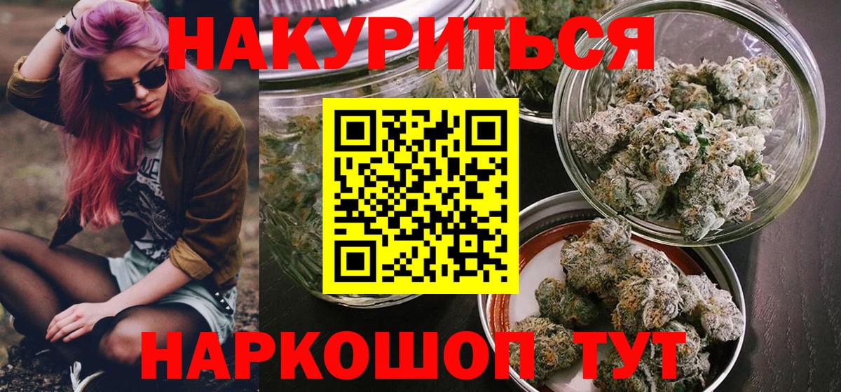 Конопля план Изобильный